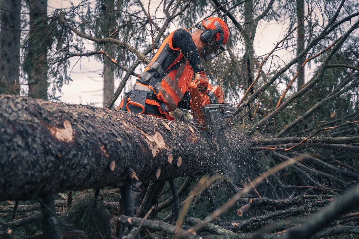 HUSQVARNA 592 XP® G - 28