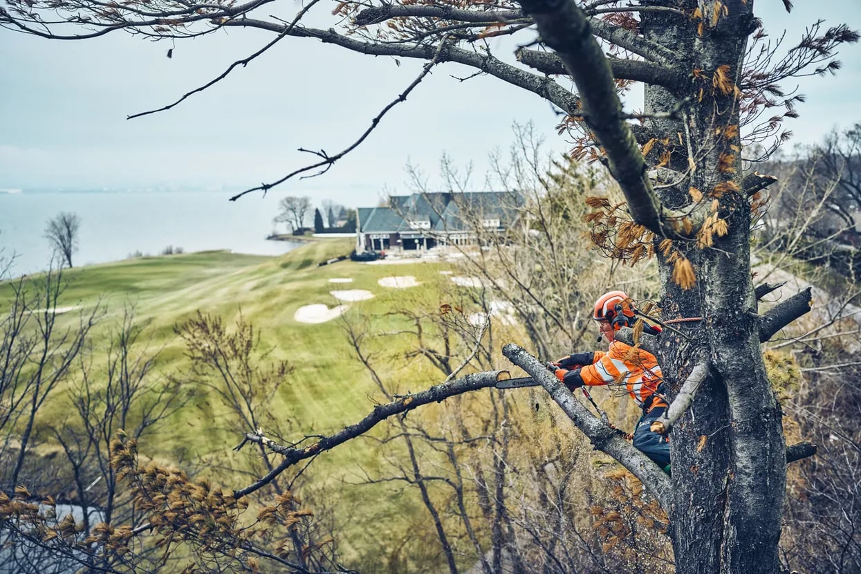 Husqvarna T542i XP® Chainsaws