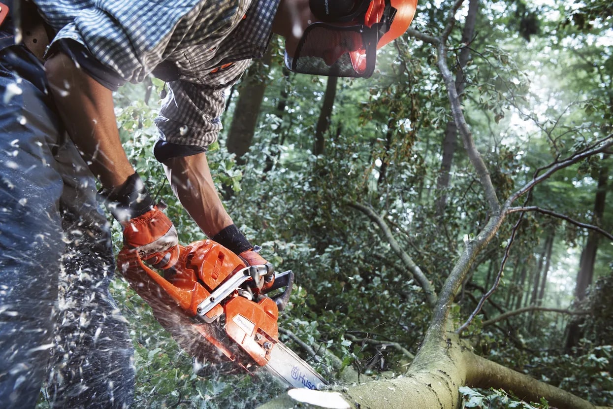 HUSQVARNA 555 20